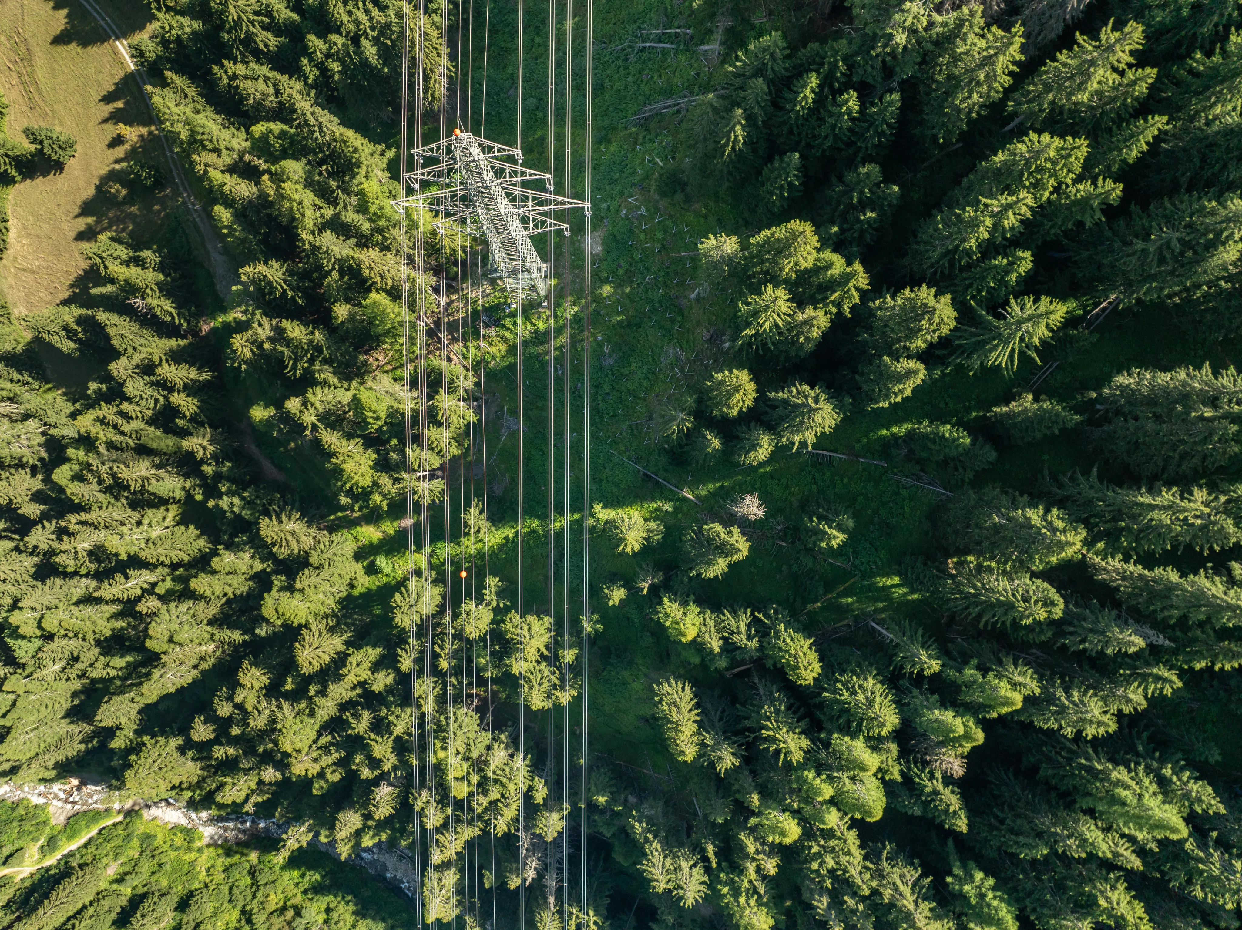 Winter Storm Fern backcast: connecting hardening investments to customer benefits
